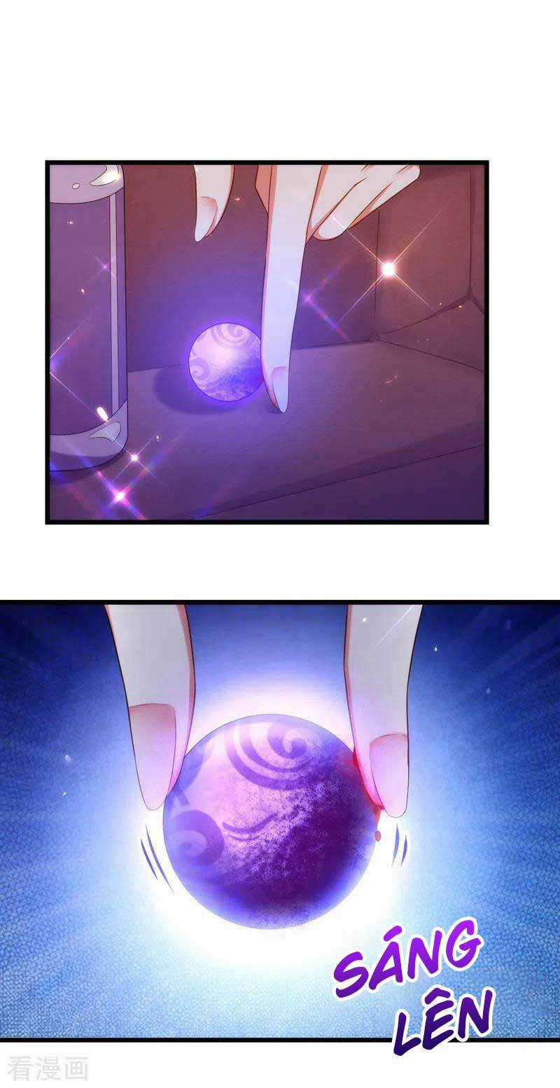 Trùng Sinh Không Gian: Cô Vợ Hào Môn Nóng Bỏng Không Dễ Chọc Chapter 151 trang 6