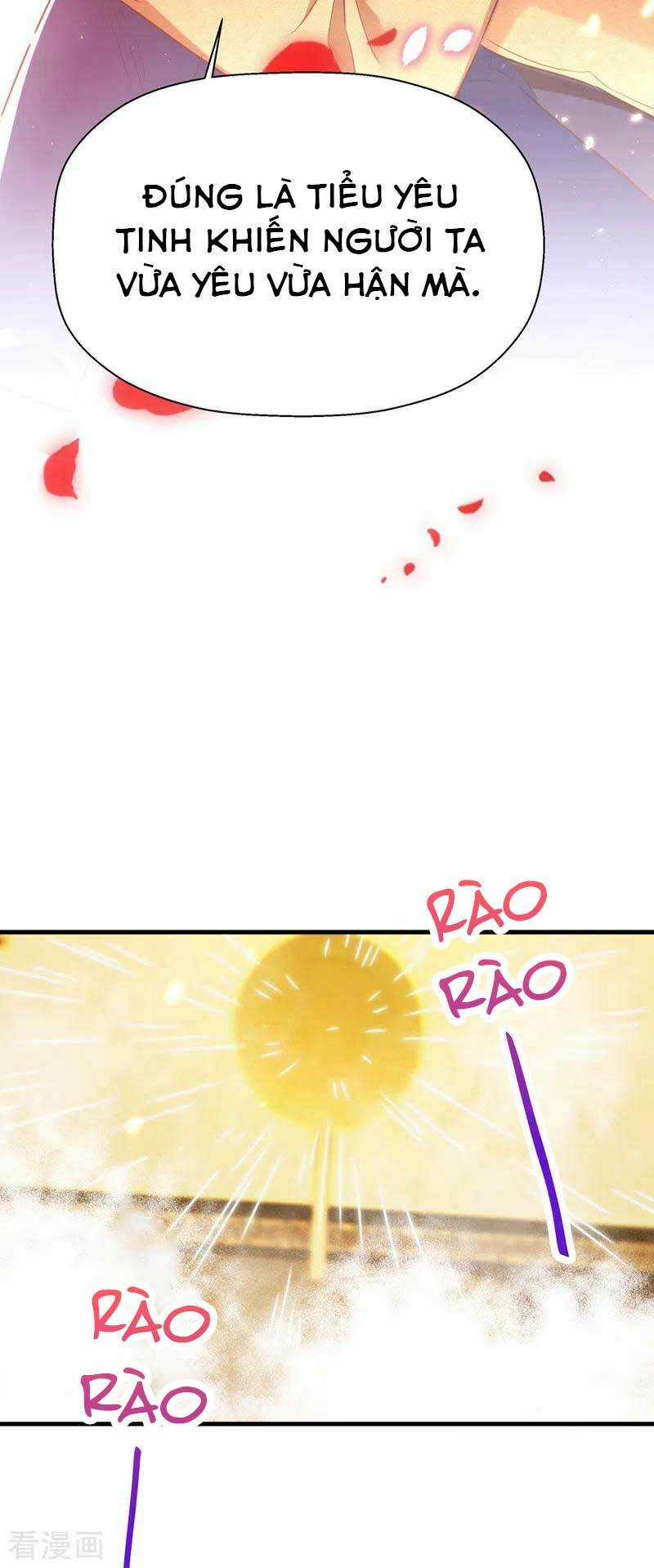 Trùng Sinh Không Gian: Cô Vợ Hào Môn Nóng Bỏng Không Dễ Chọc Chapter 154 trang 23