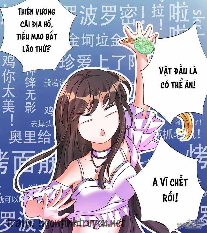 Trùng Sinh Không Gian: Cô Vợ Hào Môn Nóng Bỏng Không Dễ Chọc Chapter 16 trang 4