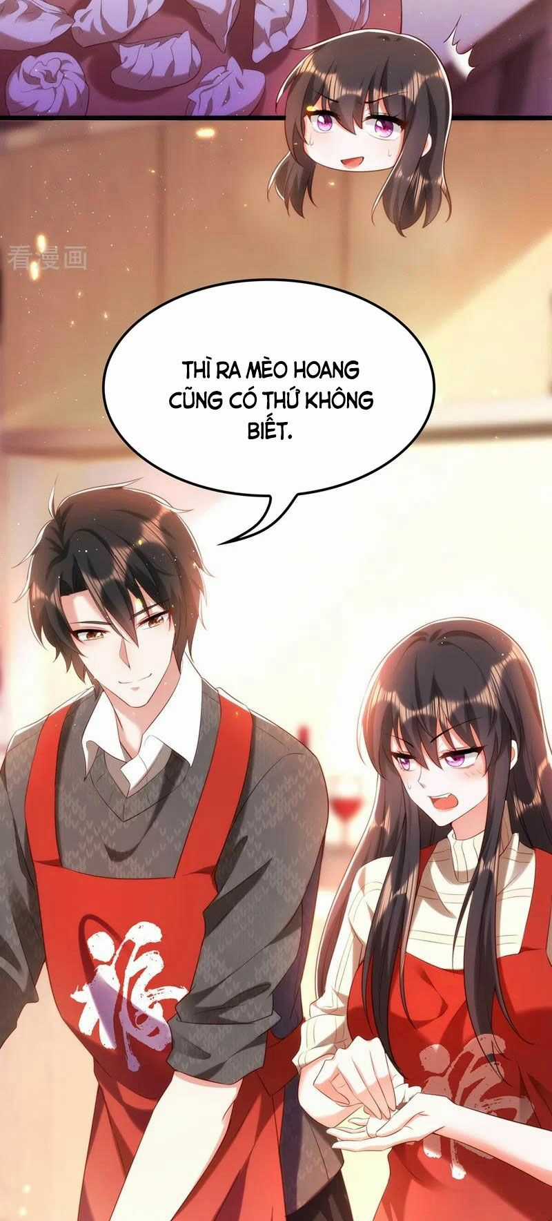 Trùng Sinh Không Gian: Cô Vợ Hào Môn Nóng Bỏng Không Dễ Chọc Chapter 161 trang 17