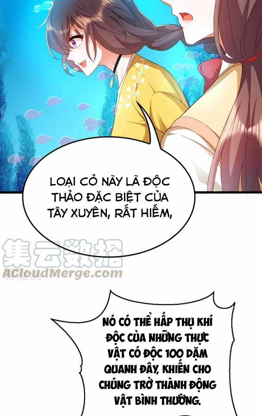 Trùng Sinh Không Gian: Cô Vợ Hào Môn Nóng Bỏng Không Dễ Chọc Chapter 169 trang 25