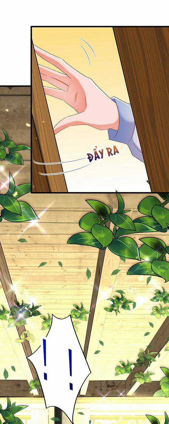 Trùng Sinh Không Gian: Cô Vợ Hào Môn Nóng Bỏng Không Dễ Chọc Chapter 209 trang 14