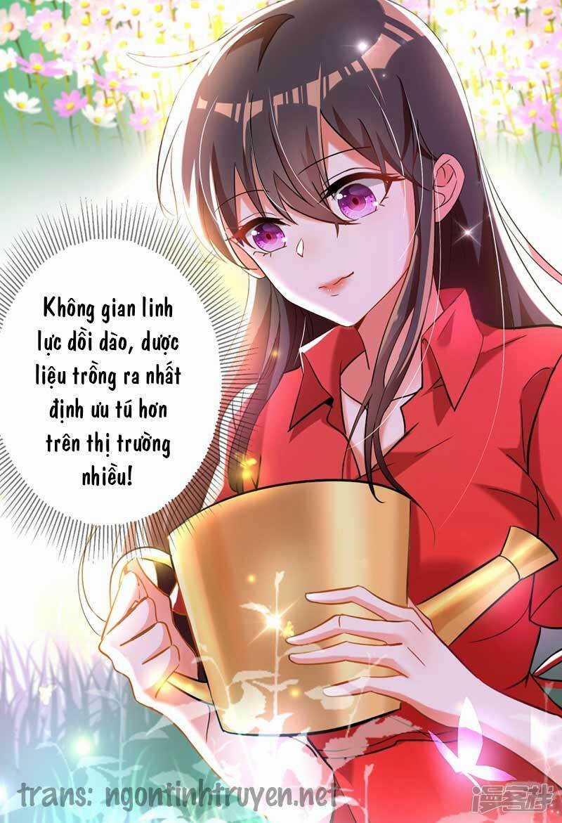 Trùng Sinh Không Gian: Cô Vợ Hào Môn Nóng Bỏng Không Dễ Chọc Chapter 22 trang 4