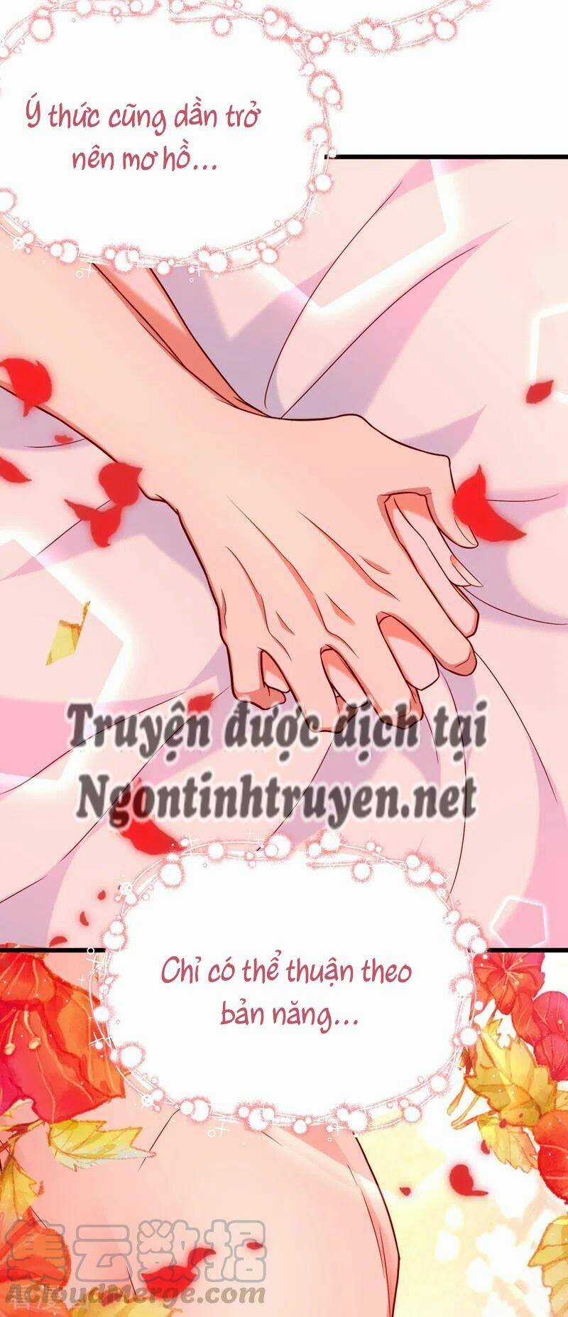 Trùng Sinh Không Gian: Cô Vợ Hào Môn Nóng Bỏng Không Dễ Chọc Chapter 240 trang 11