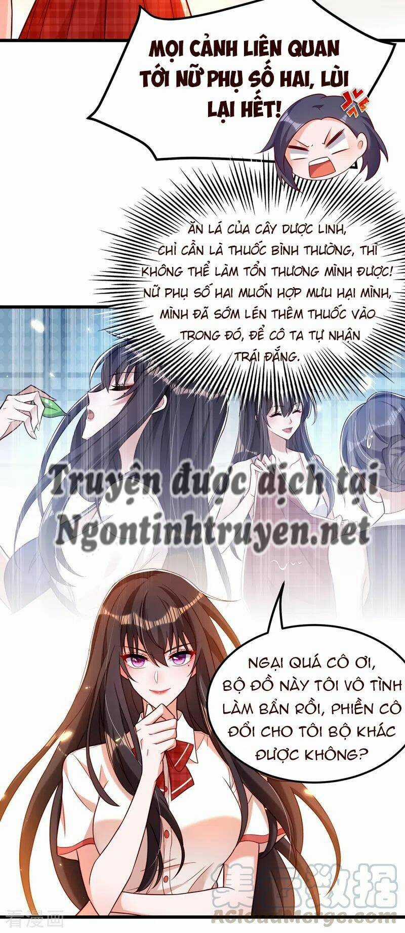 Trùng Sinh Không Gian: Cô Vợ Hào Môn Nóng Bỏng Không Dễ Chọc Chapter 242 trang 17