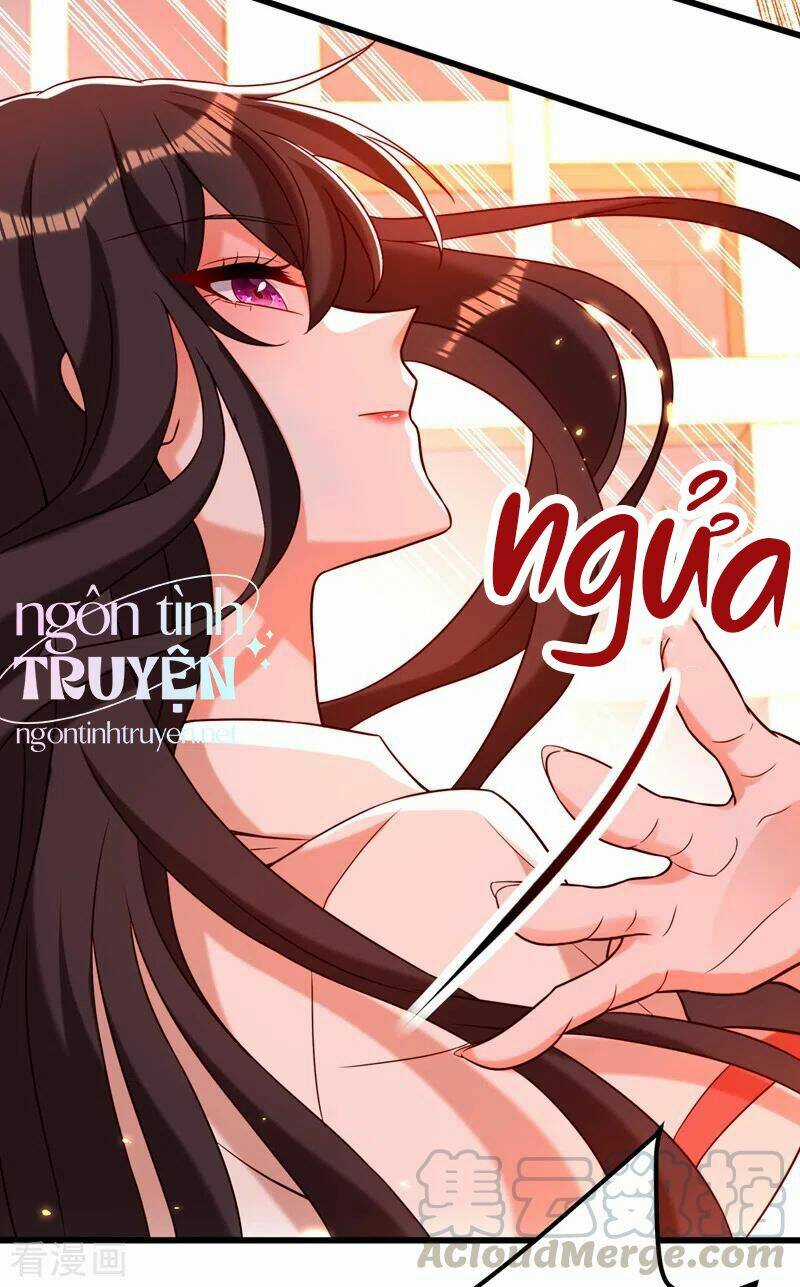 Trùng Sinh Không Gian: Cô Vợ Hào Môn Nóng Bỏng Không Dễ Chọc Chapter 243 trang 16