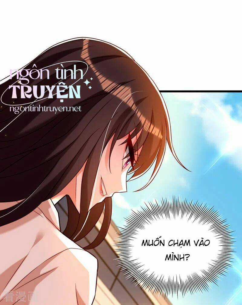 Trùng Sinh Không Gian: Cô Vợ Hào Môn Nóng Bỏng Không Dễ Chọc Chapter 243 trang 5