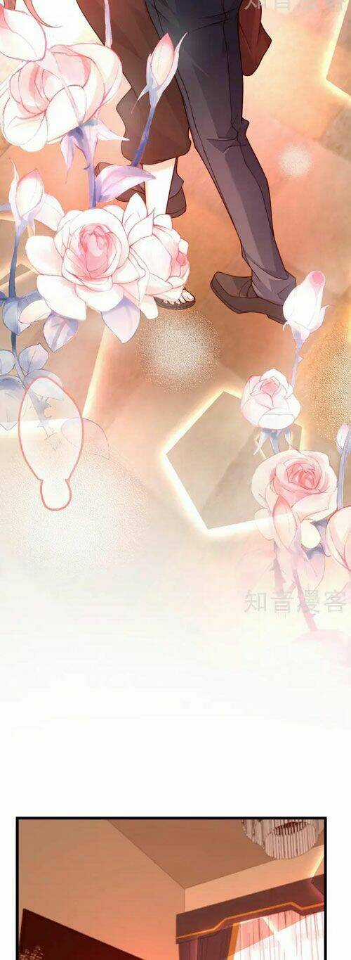 Trùng Sinh Không Gian: Cô Vợ Hào Môn Nóng Bỏng Không Dễ Chọc Chapter 256 trang 24