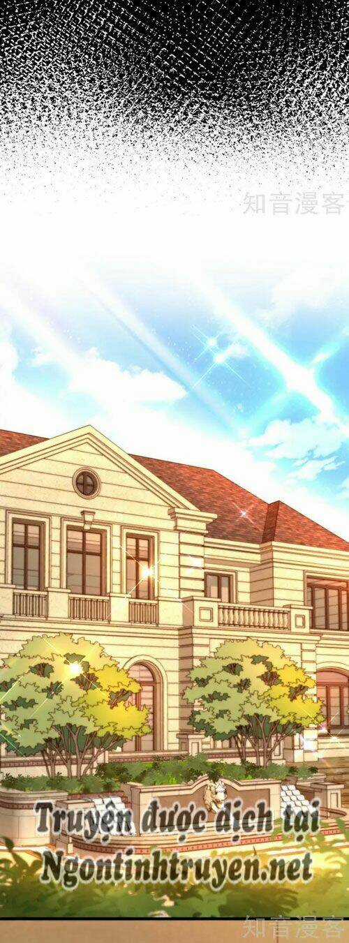 Trùng Sinh Không Gian: Cô Vợ Hào Môn Nóng Bỏng Không Dễ Chọc Chapter 256 trang 4