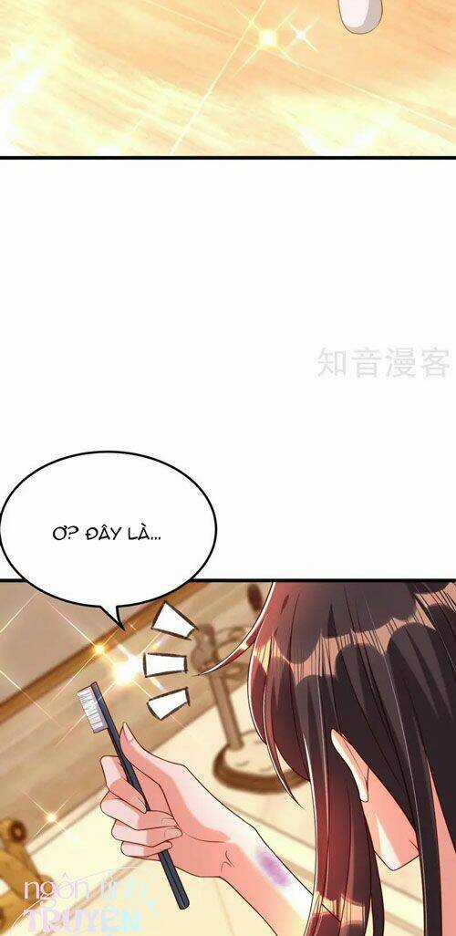 Trùng Sinh Không Gian: Cô Vợ Hào Môn Nóng Bỏng Không Dễ Chọc Chapter 257 trang 3