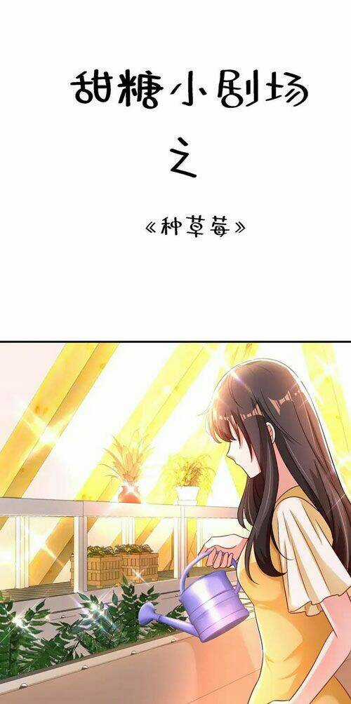 Trùng Sinh Không Gian: Cô Vợ Hào Môn Nóng Bỏng Không Dễ Chọc Chapter 261 trang 29