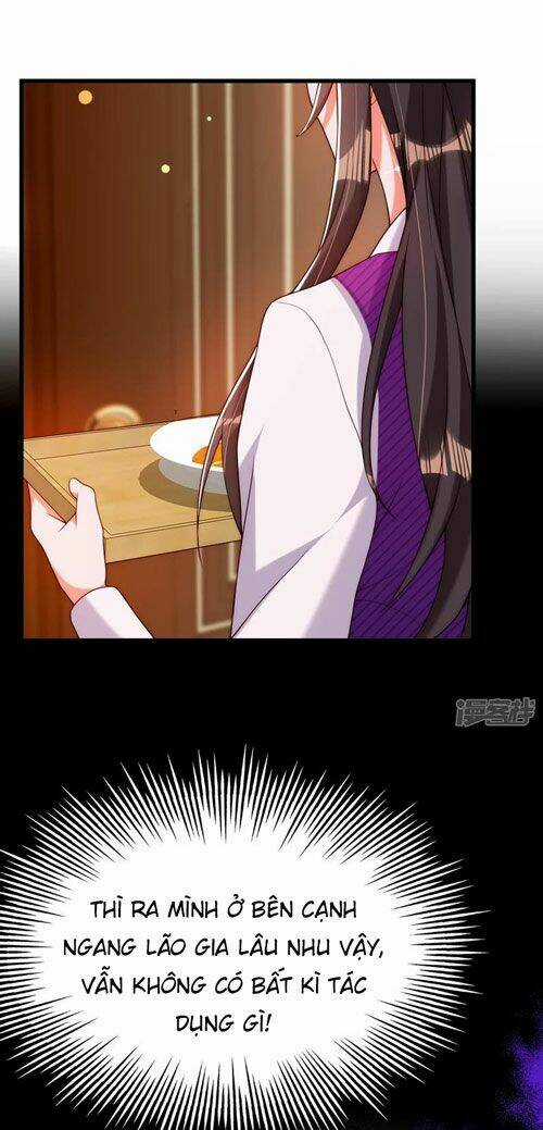 Trùng Sinh Không Gian: Cô Vợ Hào Môn Nóng Bỏng Không Dễ Chọc Chapter 263 trang 4