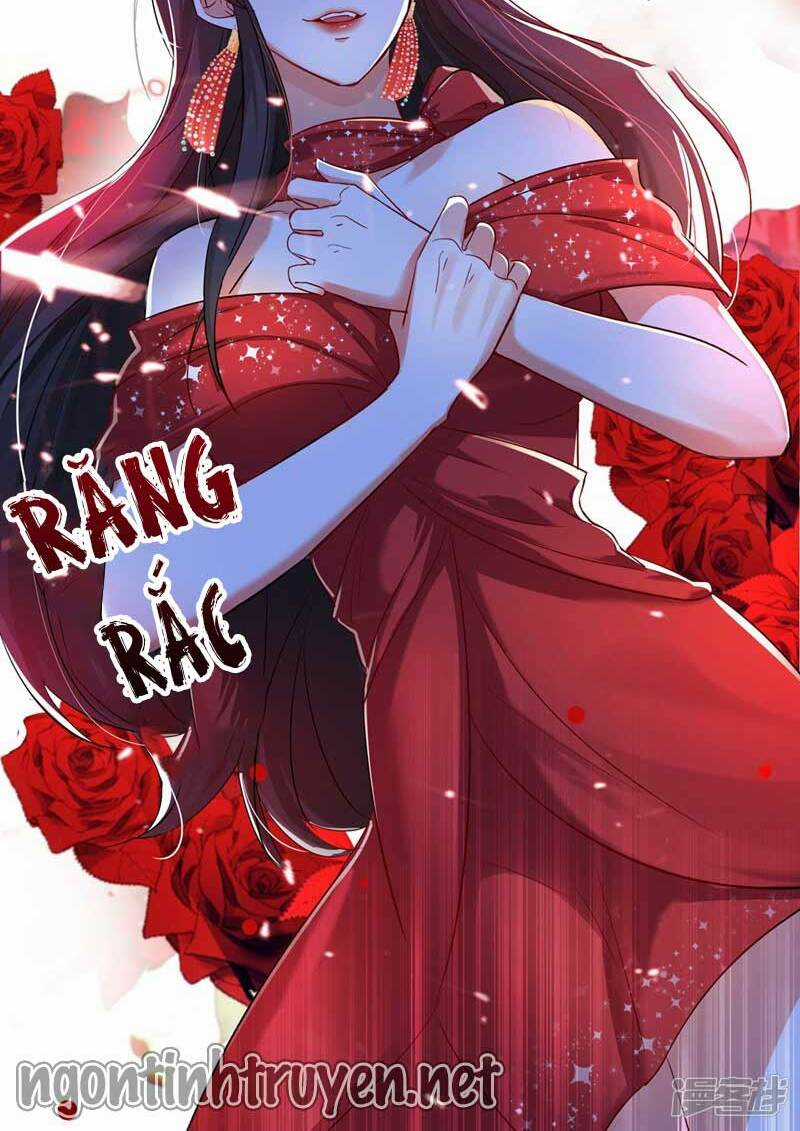 Trùng Sinh Không Gian: Cô Vợ Hào Môn Nóng Bỏng Không Dễ Chọc Chapter 27 trang 19