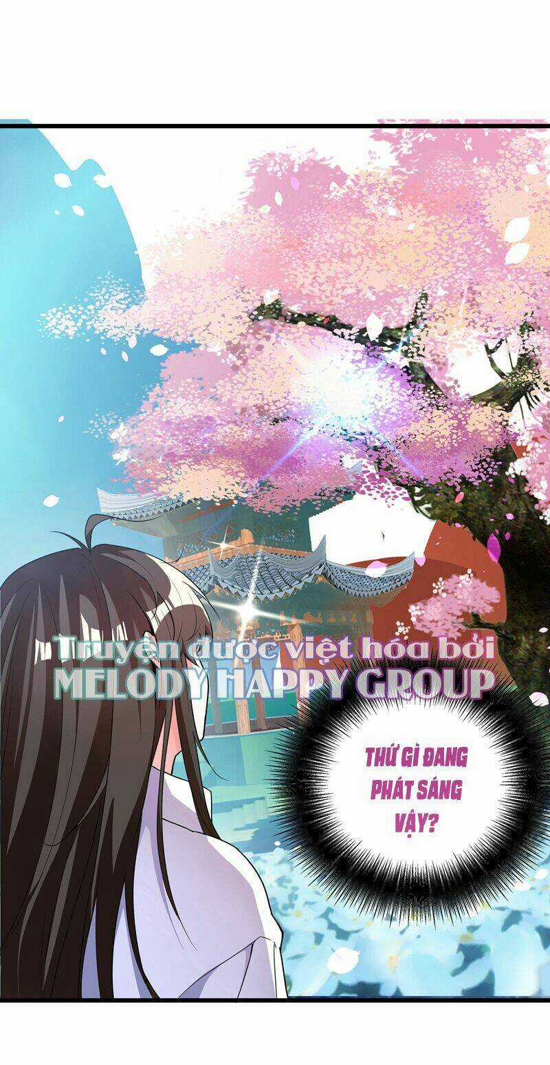 Trùng Sinh Không Gian: Cô Vợ Hào Môn Nóng Bỏng Không Dễ Chọc Chapter 3.1 trang 5