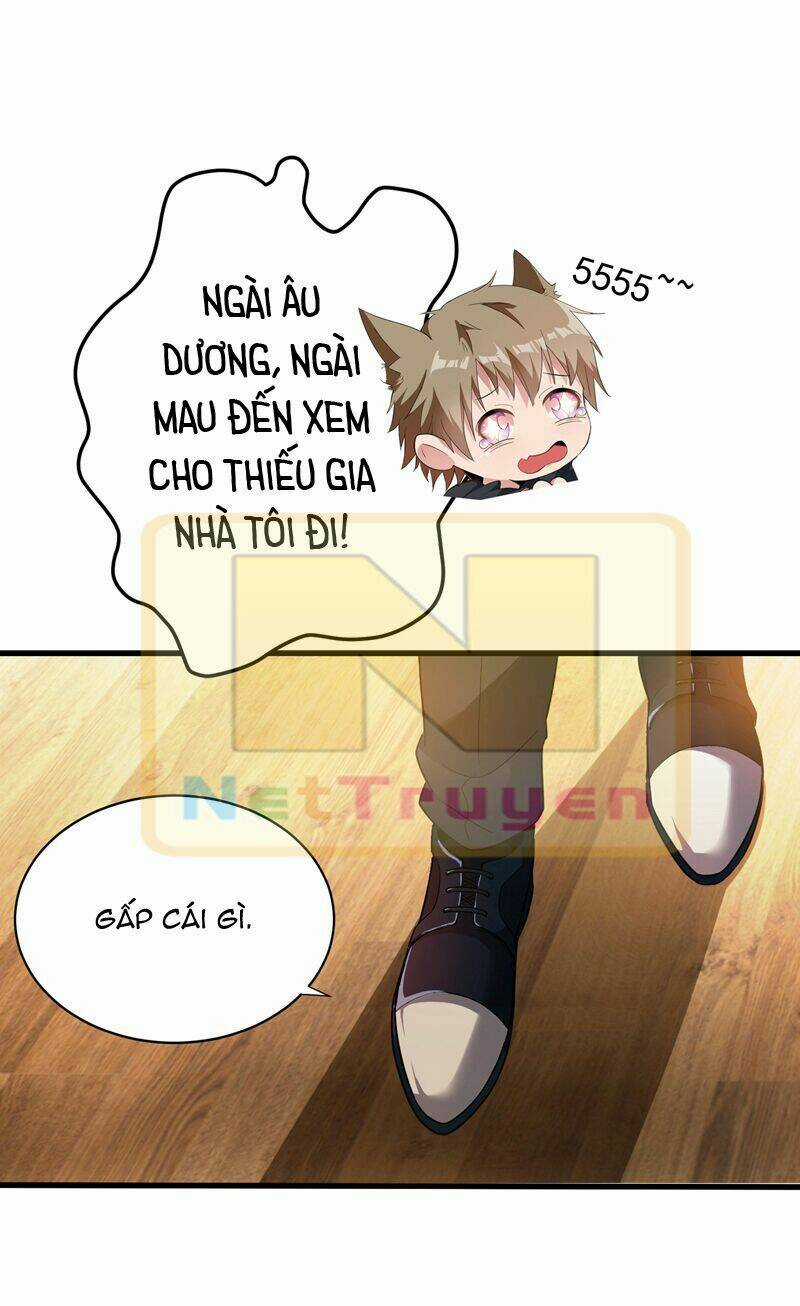 Trùng Sinh Không Gian: Cô Vợ Hào Môn Nóng Bỏng Không Dễ Chọc Chapter 3.2 trang 13