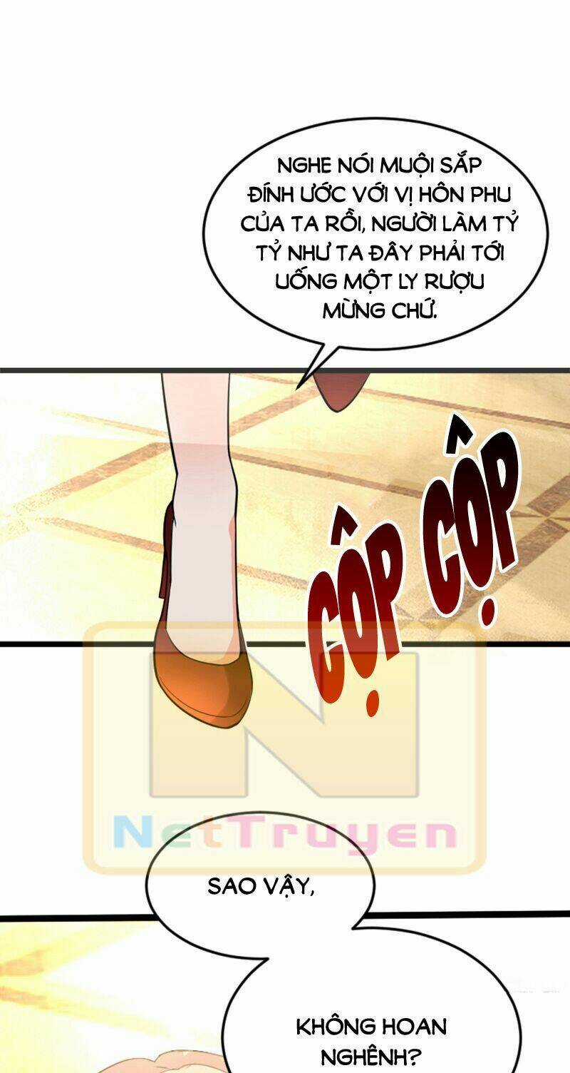 Trùng Sinh Không Gian: Cô Vợ Hào Môn Nóng Bỏng Không Dễ Chọc Chapter 4.5 trang 24