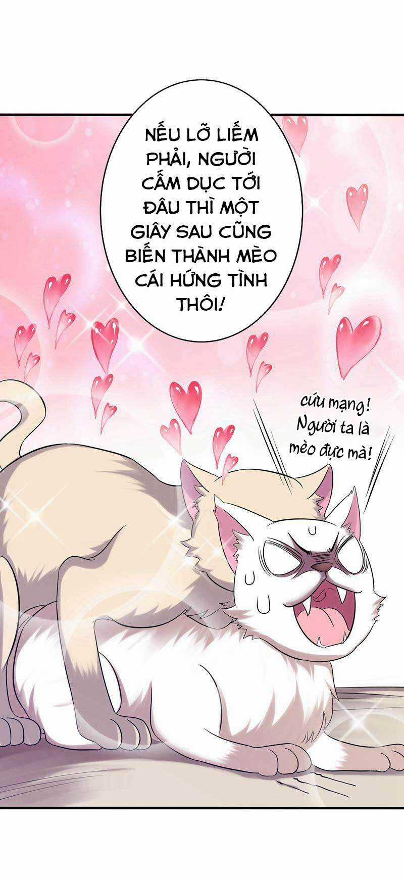 Trùng Sinh Không Gian: Cô Vợ Hào Môn Nóng Bỏng Không Dễ Chọc Chapter 43 trang 7