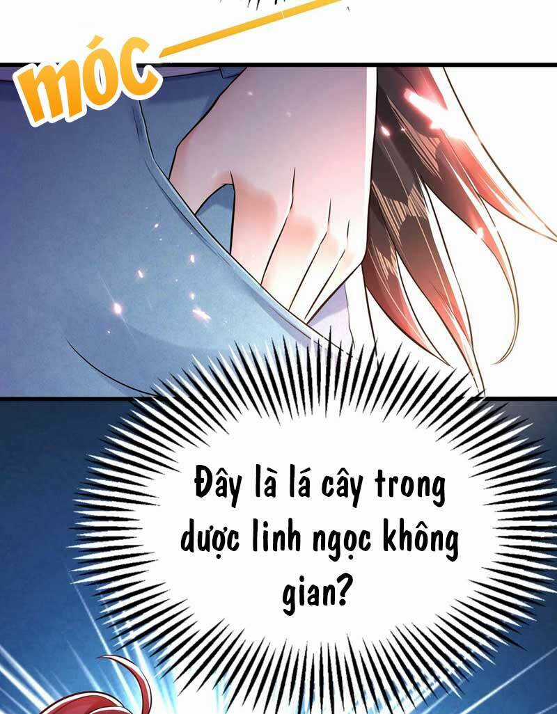 Trùng Sinh Không Gian: Cô Vợ Hào Môn Nóng Bỏng Không Dễ Chọc Chapter 57 trang 13