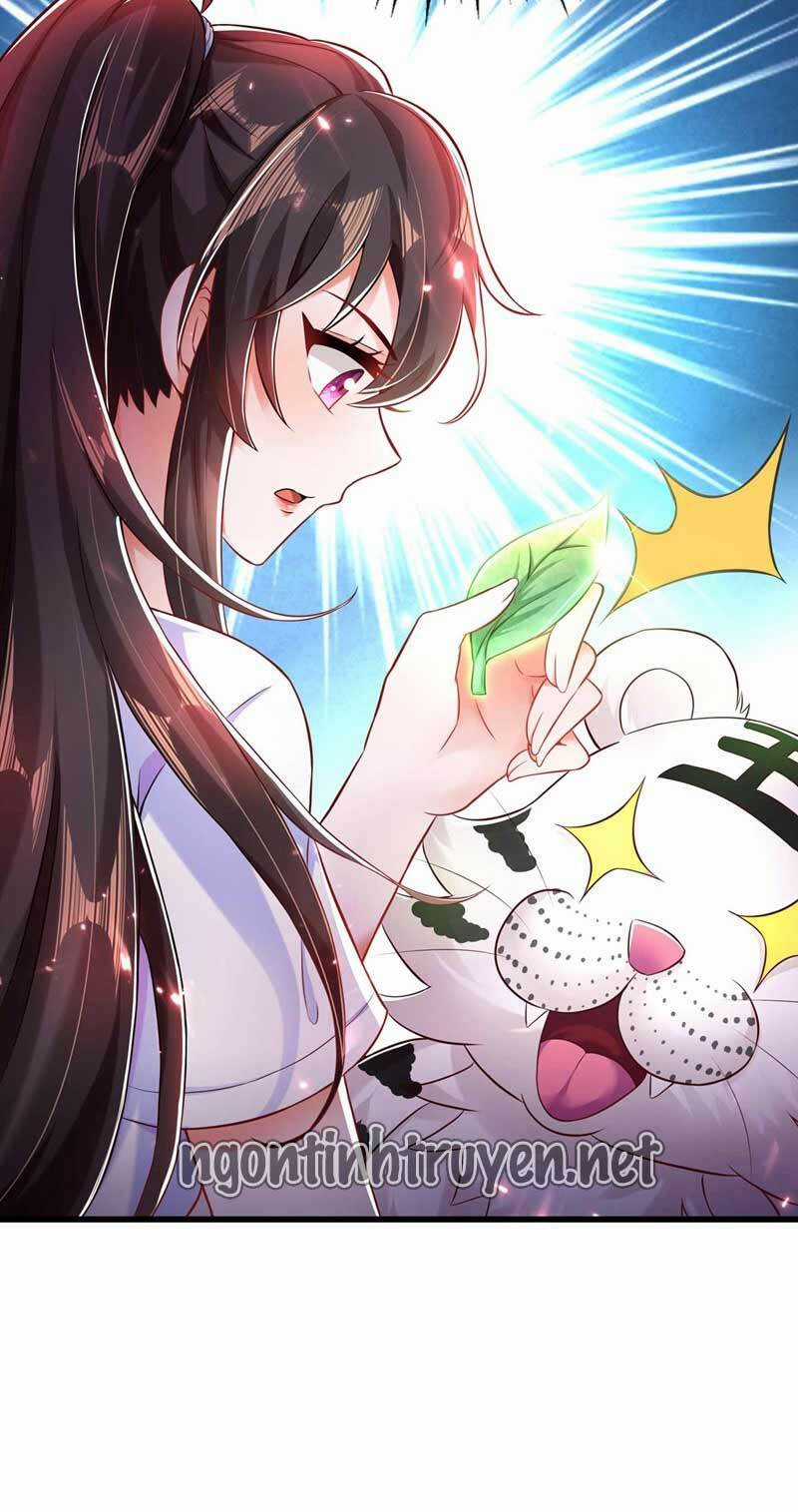 Trùng Sinh Không Gian: Cô Vợ Hào Môn Nóng Bỏng Không Dễ Chọc Chapter 57 trang 14