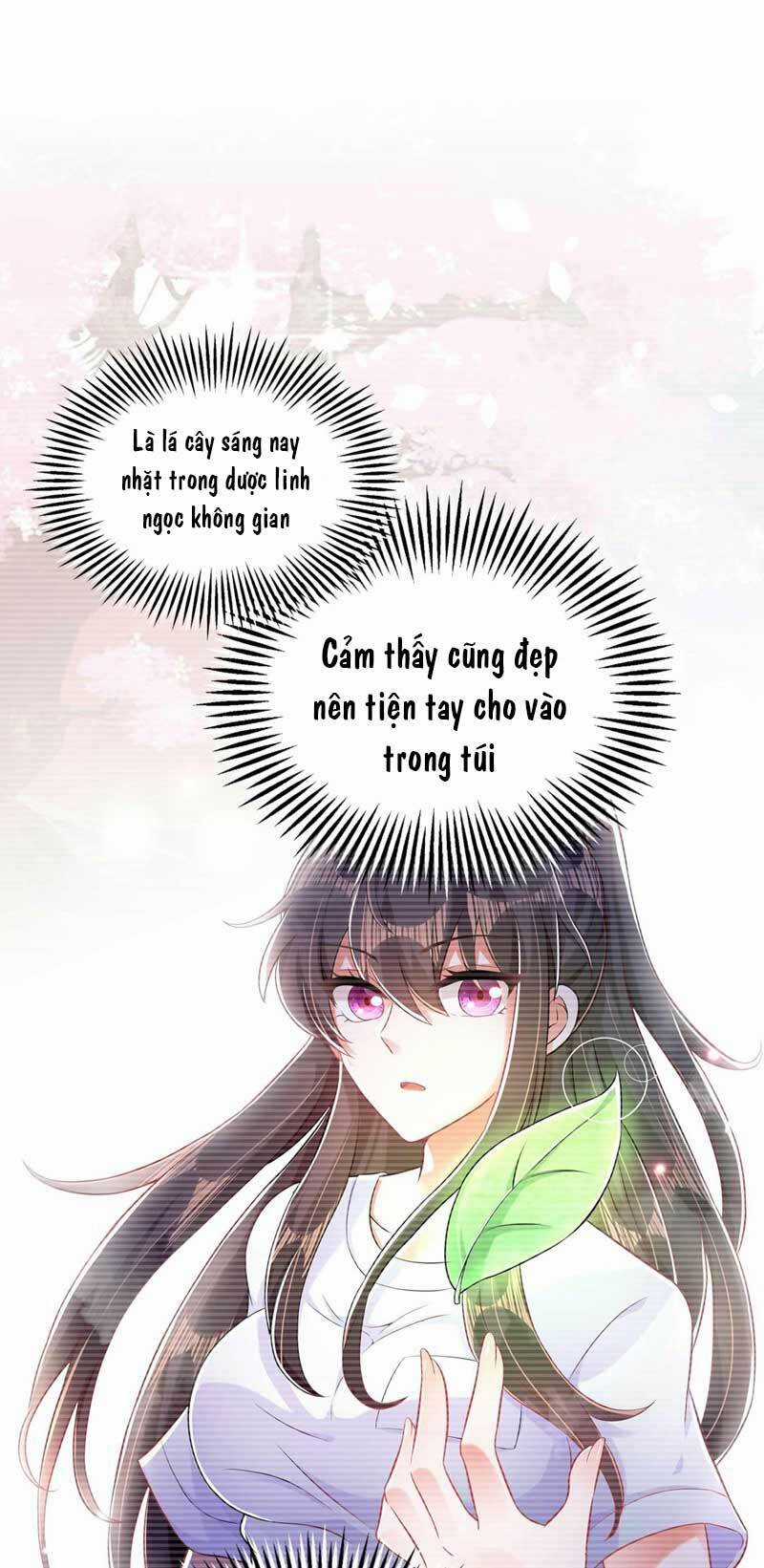 Trùng Sinh Không Gian: Cô Vợ Hào Môn Nóng Bỏng Không Dễ Chọc Chapter 57 trang 15