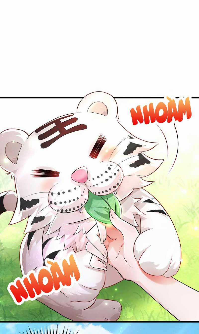 Trùng Sinh Không Gian: Cô Vợ Hào Môn Nóng Bỏng Không Dễ Chọc Chapter 57 trang 20