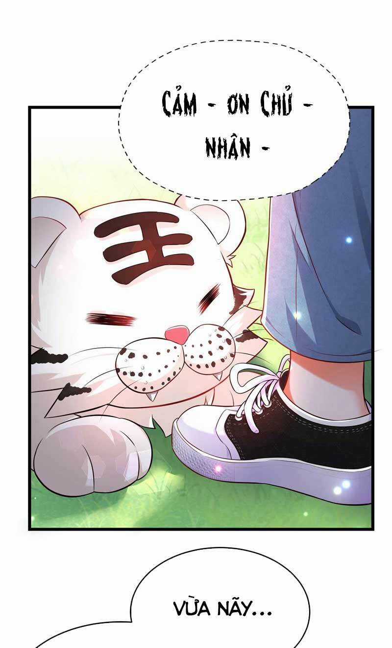 Trùng Sinh Không Gian: Cô Vợ Hào Môn Nóng Bỏng Không Dễ Chọc Chapter 57 trang 23