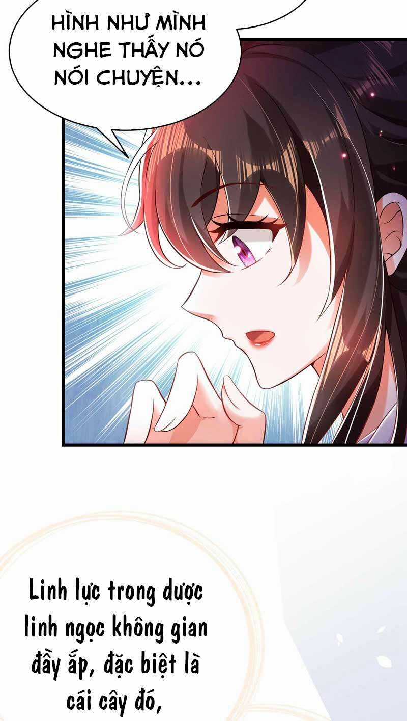 Trùng Sinh Không Gian: Cô Vợ Hào Môn Nóng Bỏng Không Dễ Chọc Chapter 57 trang 24