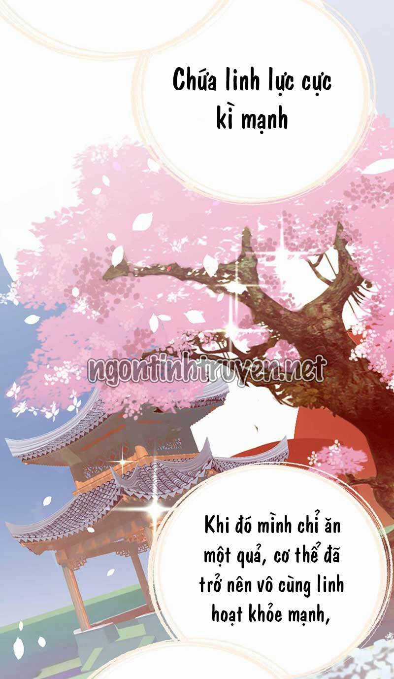 Trùng Sinh Không Gian: Cô Vợ Hào Môn Nóng Bỏng Không Dễ Chọc Chapter 57 trang 25