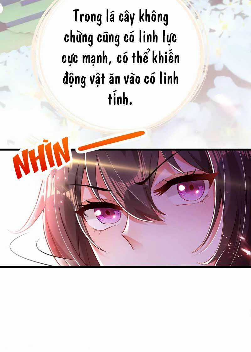 Trùng Sinh Không Gian: Cô Vợ Hào Môn Nóng Bỏng Không Dễ Chọc Chapter 57 trang 26