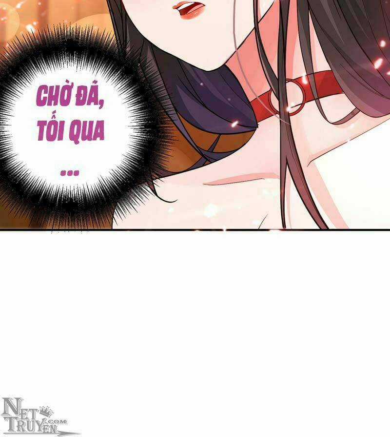 Trùng Sinh Không Gian: Cô Vợ Hào Môn Nóng Bỏng Không Dễ Chọc Chapter 8.1 trang 13