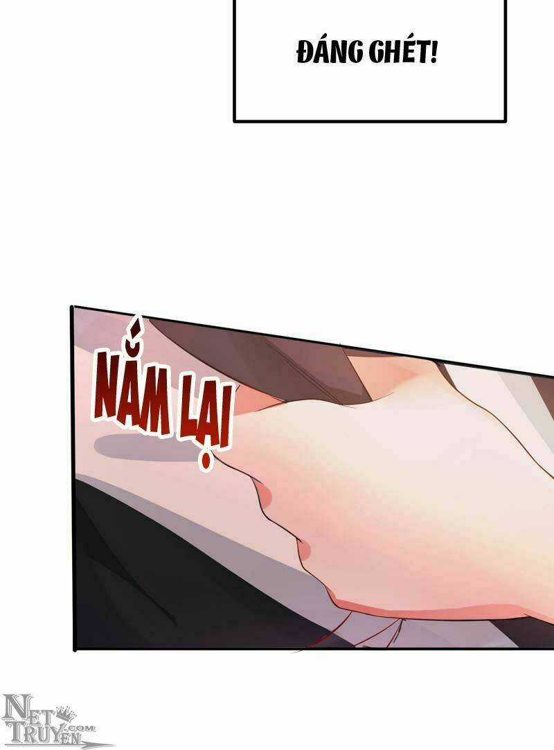 Trùng Sinh Không Gian: Cô Vợ Hào Môn Nóng Bỏng Không Dễ Chọc Chapter 8.5 trang 18