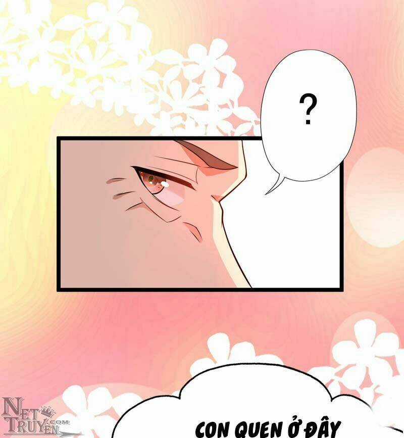 Trùng Sinh Không Gian: Cô Vợ Hào Môn Nóng Bỏng Không Dễ Chọc Chapter 9.5 trang 27