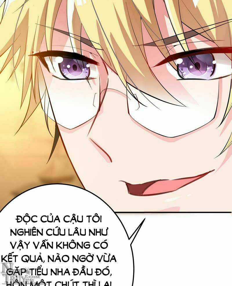 Trùng Sinh Không Gian: Cô Vợ Hào Môn Nóng Bỏng Không Dễ Chọc Chapter 9 trang 13