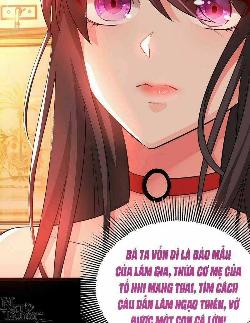 Trùng Sinh Không Gian: Cô Vợ Hào Môn Nóng Bỏng Không Dễ Chọc Chapter 9 trang 25