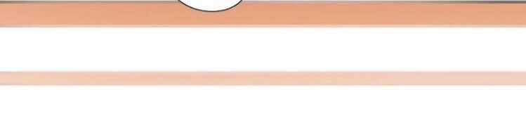 Trùng Sinh Ma Tôn Lộng Quyền Chapter 106 trang 14