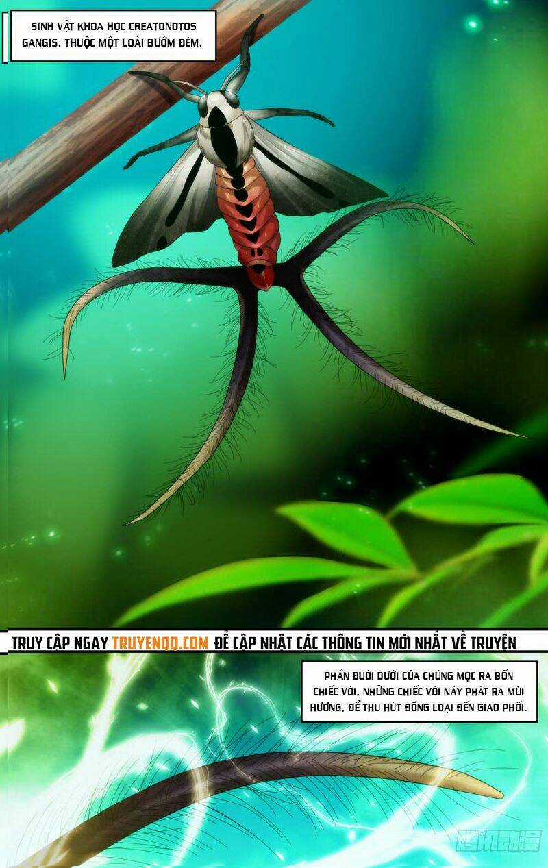 Trùng Sinh Chapter 105 trang 24