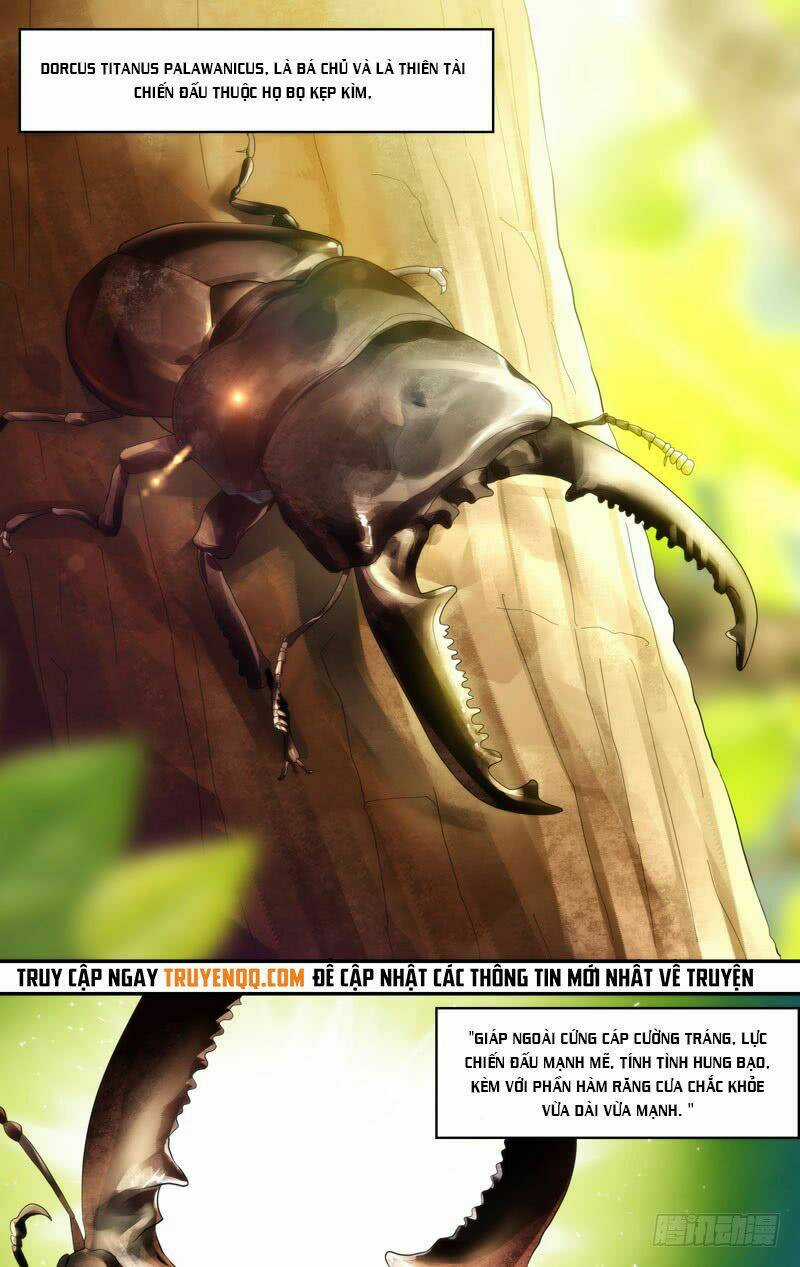 Trùng Sinh Chapter 109 trang 3