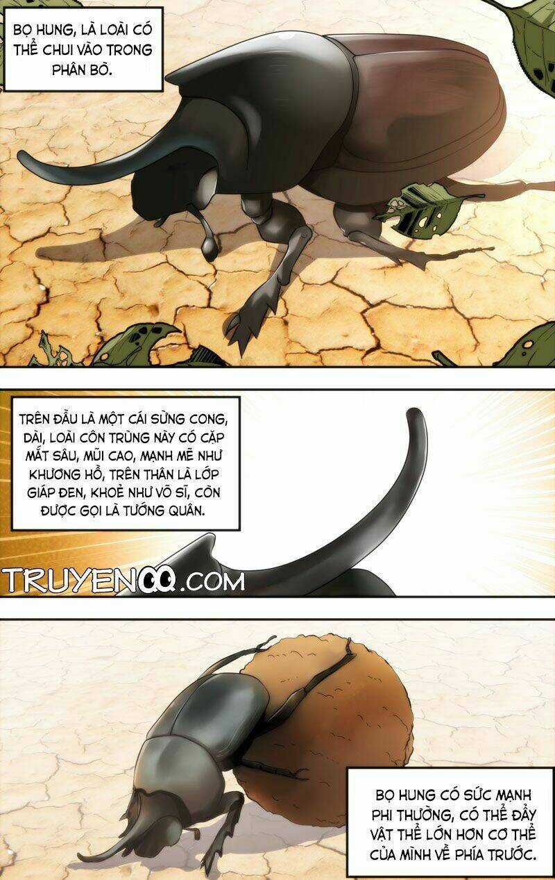 Trùng Sinh Chapter 11 trang 14