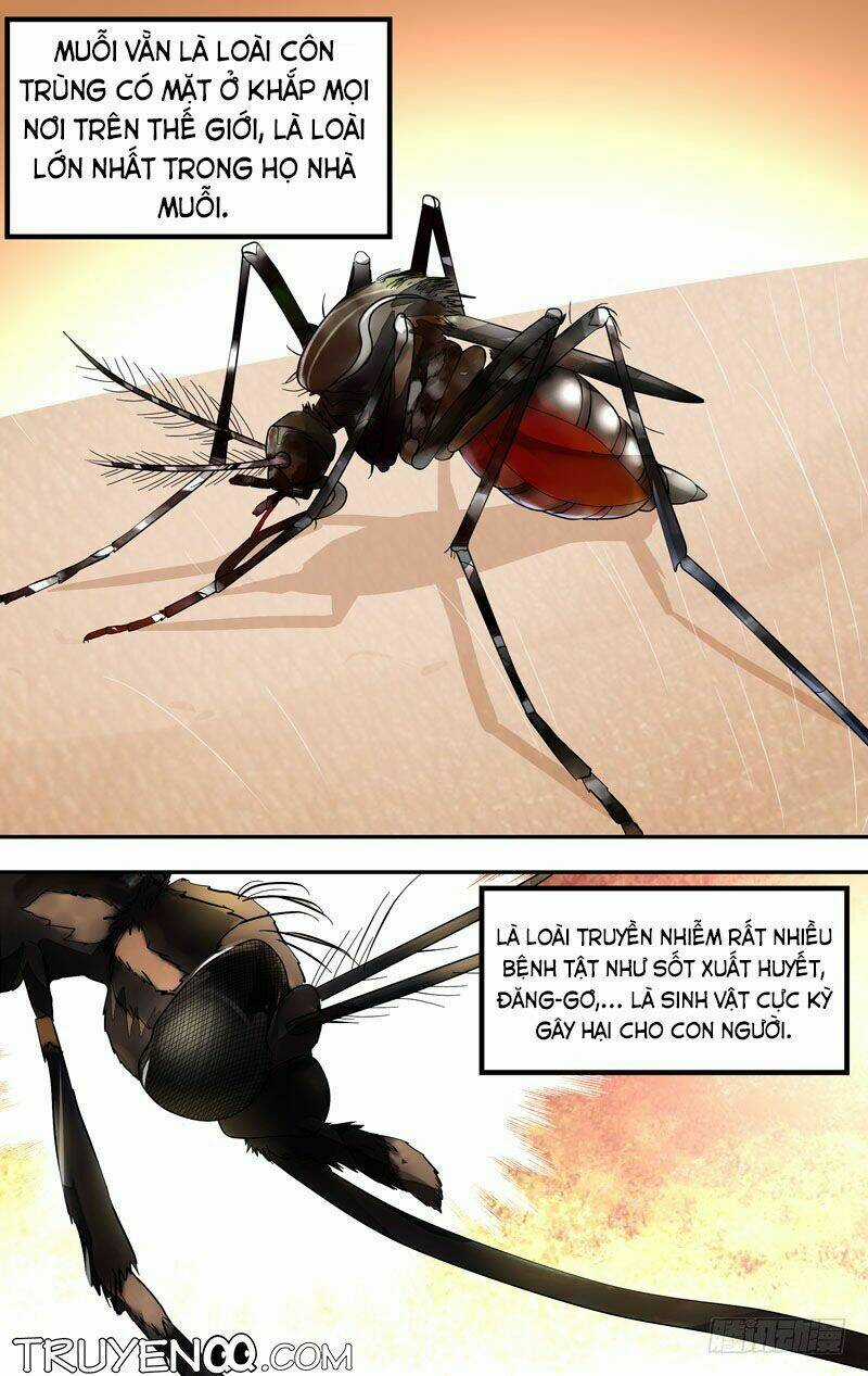 Trùng Sinh Chapter 12 trang 17