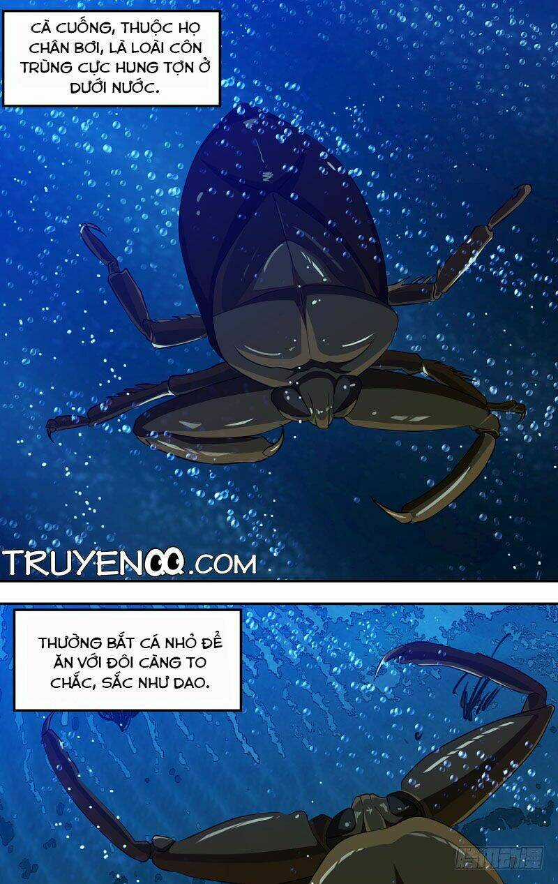 Trùng Sinh Chapter 20 trang 10