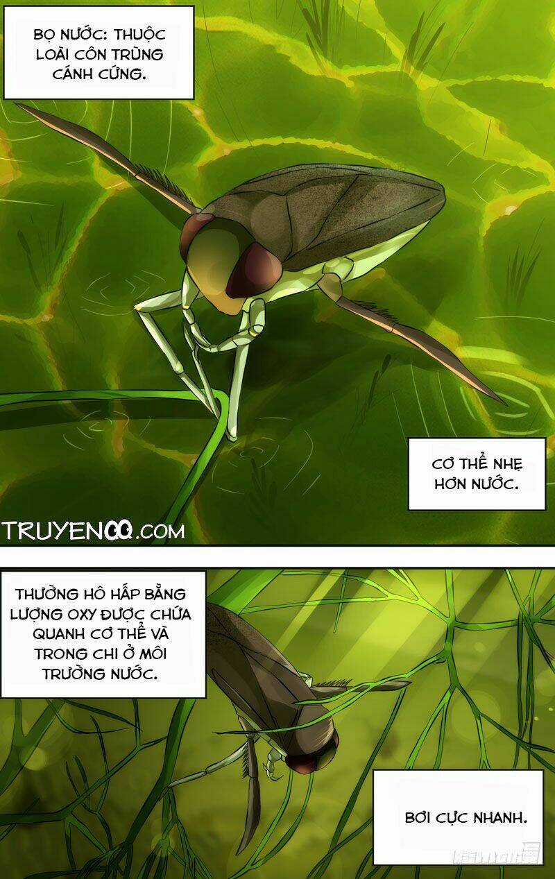 Trùng Sinh Chapter 20 trang 15