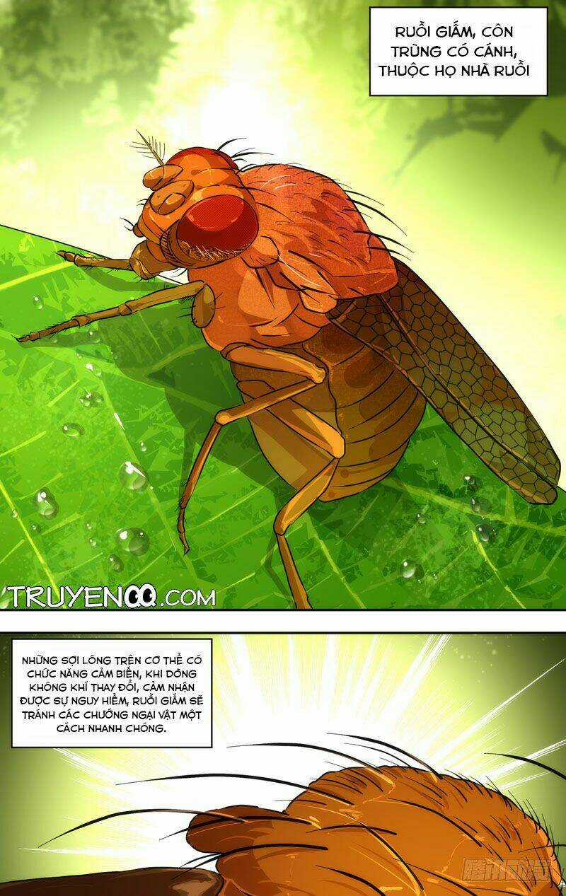 Trùng Sinh Chapter 28 trang 24