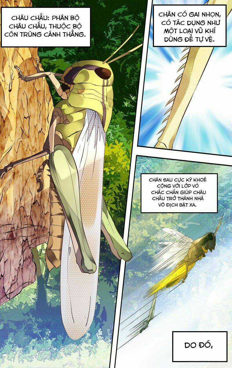 Trùng Sinh Chapter 3 trang 2