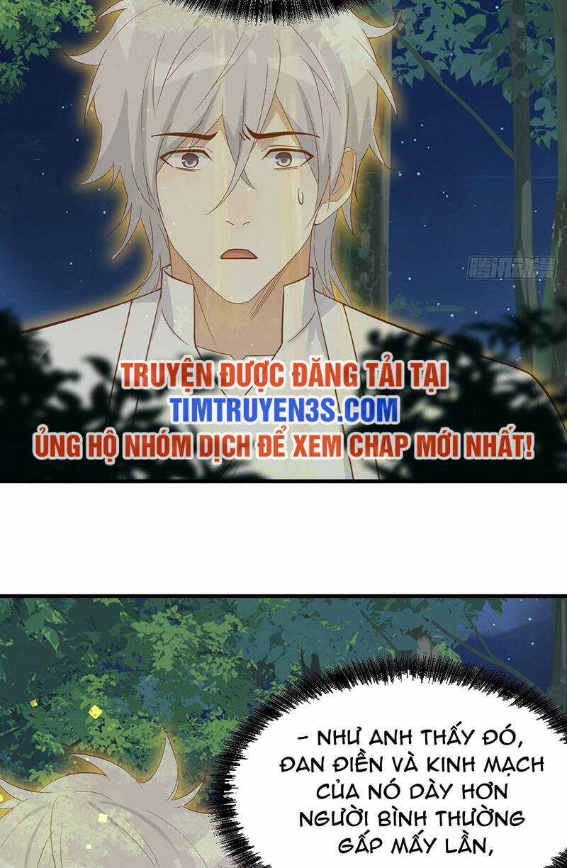 Trước Khi Vô Địch Ta Nợ Tình Quá Nhiều Chapter 72 trang 24