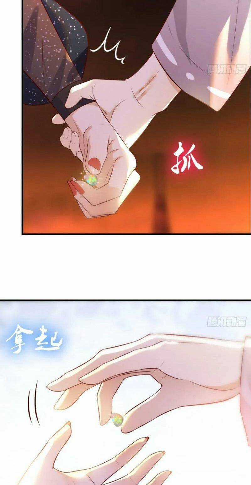 Trước Khi Vô Địch Ta Nợ Tình Quá Nhiều Chapter 9 trang 13