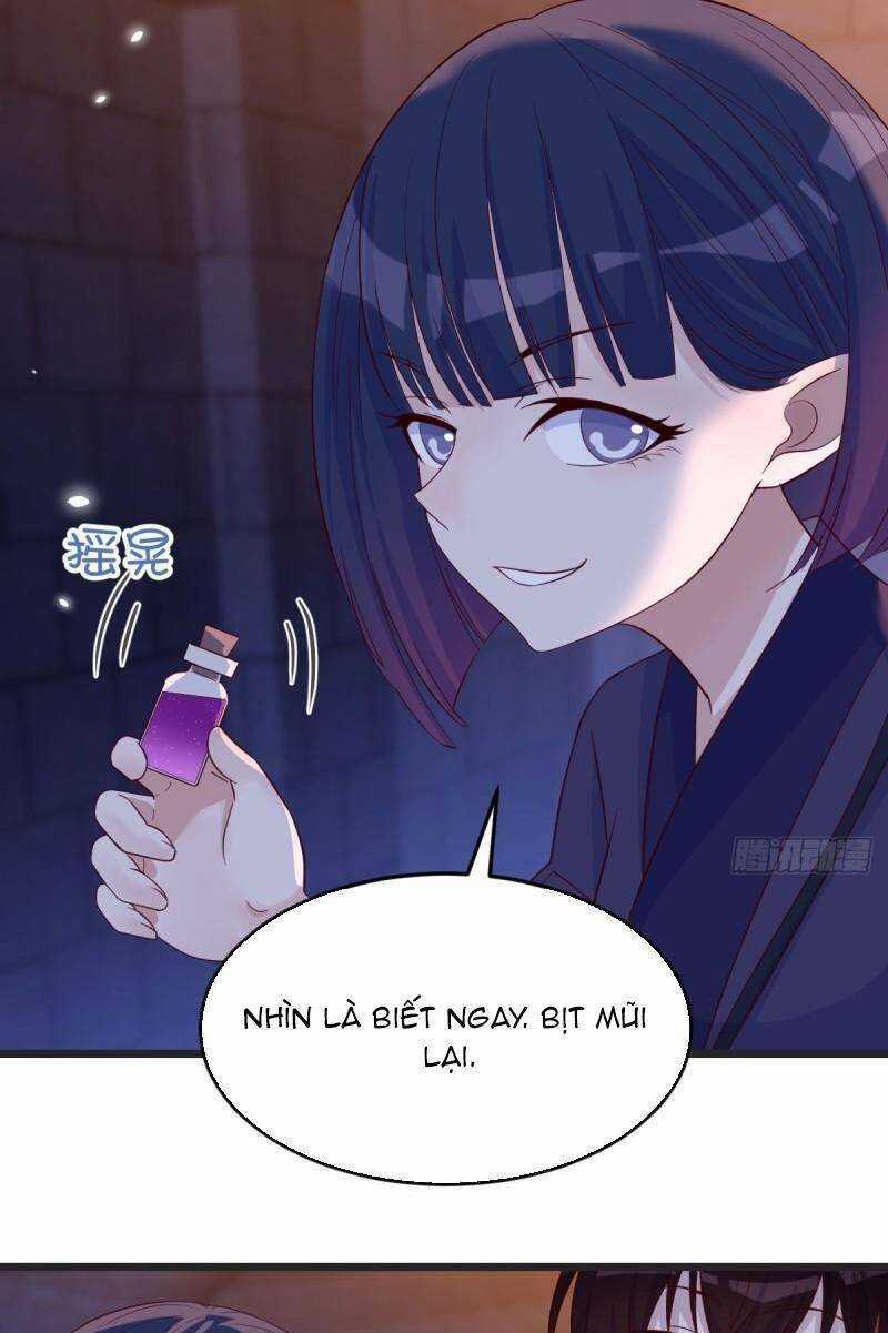 Trước Khi Vô Địch Ta Nợ Tình Quá Nhiều Chapter 95 trang 20