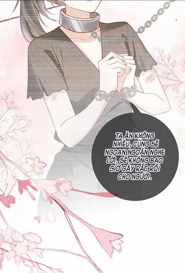 Trưởng Công Chúa Ác Độc Bỗng Dưng Được Chiều Chuộng Chapter 1 trang 49