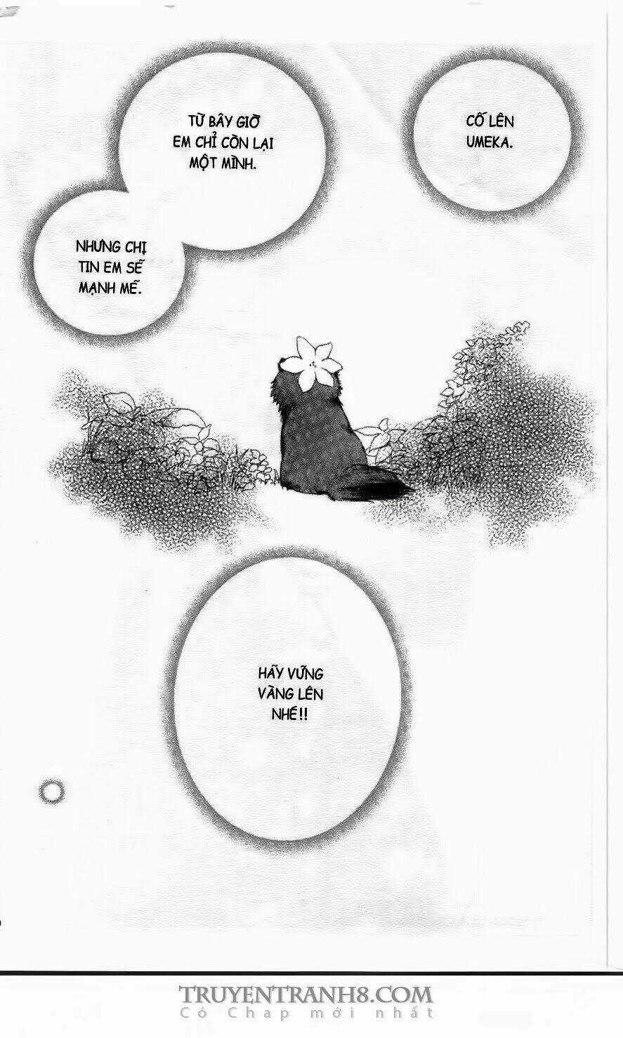 Trường Học Bí ẩn Chapter 9 trang 14