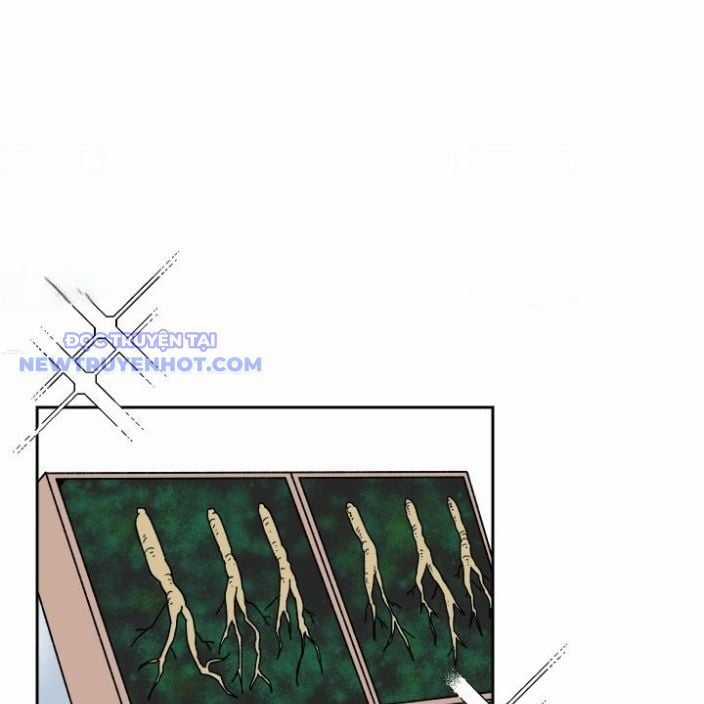 Trường Học Vương Quyền Chapter 15 trang 25