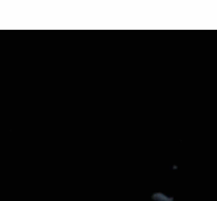 Trường Mẫu Giáo Thần Thú Chapter 6 trang 251